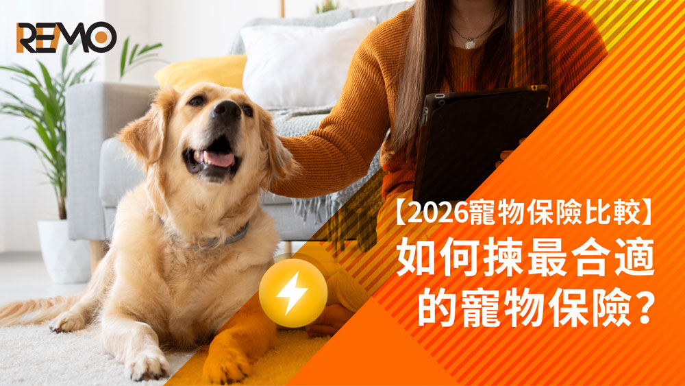 REMO, REMO CREDIT, 網通貸財務, 上環貸款, 寵物保險比較2026, 寵物保險, 貓狗保險邊間好, 寵物醫療上限, 寵物貸款, 應急錢, 財務方案, 貸款, 貓狗保險